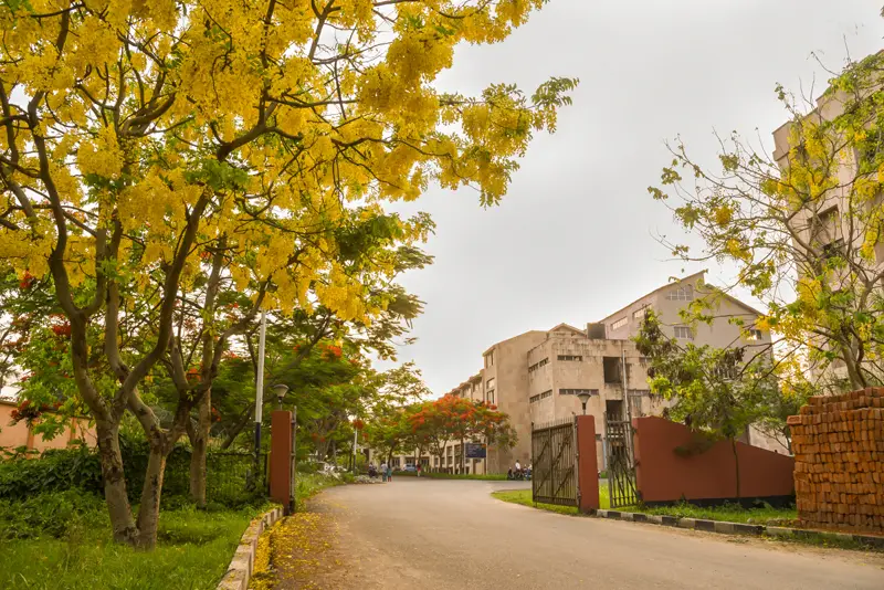 IITG campus photo 5