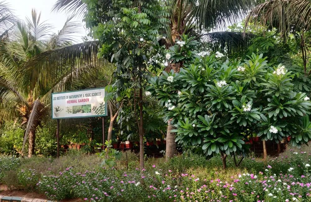 J.S.S. INSTITUTE OF NATUROPATHY AND YOGIC SCIENCES (Inst. Code – 132), OOTACAMUND: campus photo 3