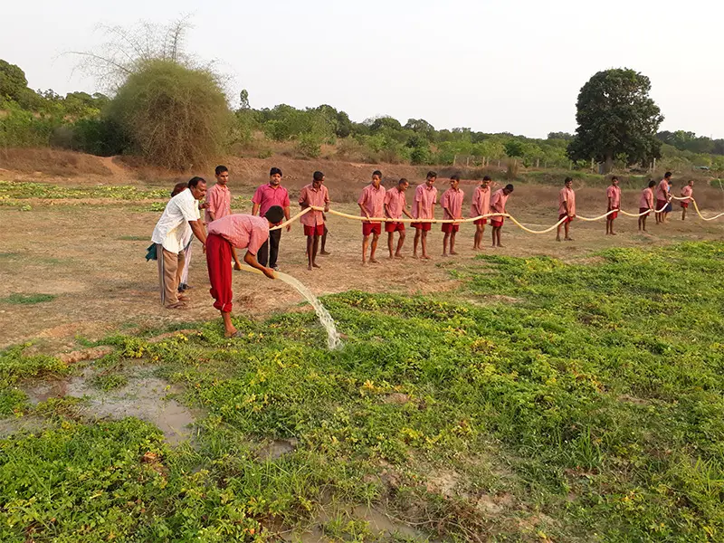 Jewels International (Chetana College of Special Edn.) A/3, Institutional Area, BBSR campus photo 5