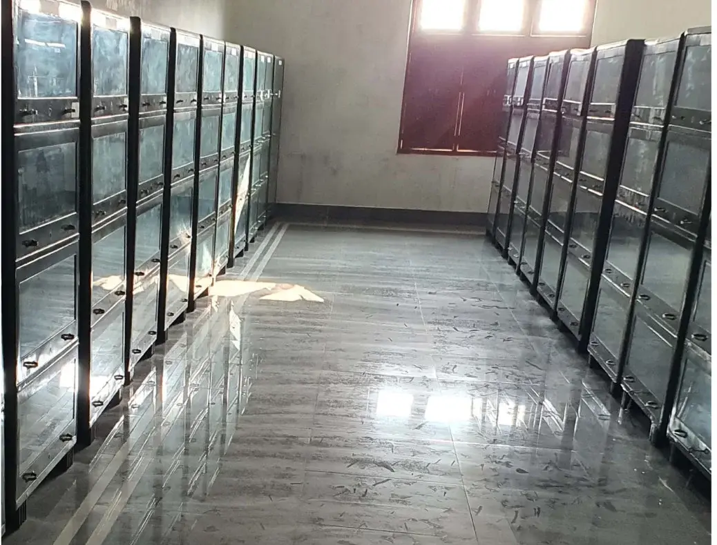 Jhaulal Gajodhar Prasad Mahavidyalaya: campus photo 4
