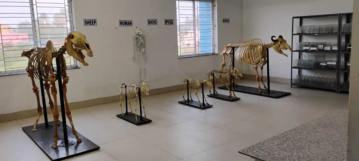 Jis College of Veterinary and Animal Sciences: campus photo 2