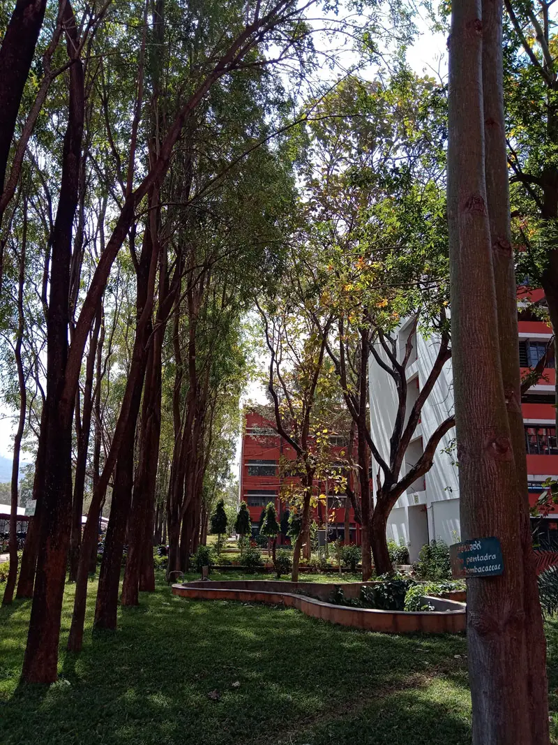 JSSCACS campus photo 5