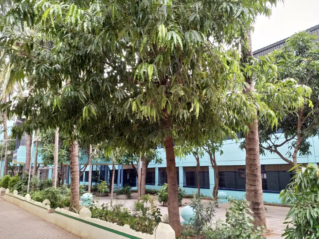 KEM campus photo 3