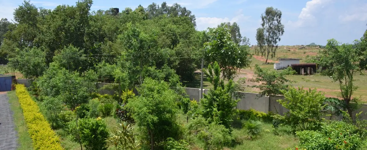 KUNWAR PIRTHI NATH SINGH B.Ed. COLLEGE: campus photo 2