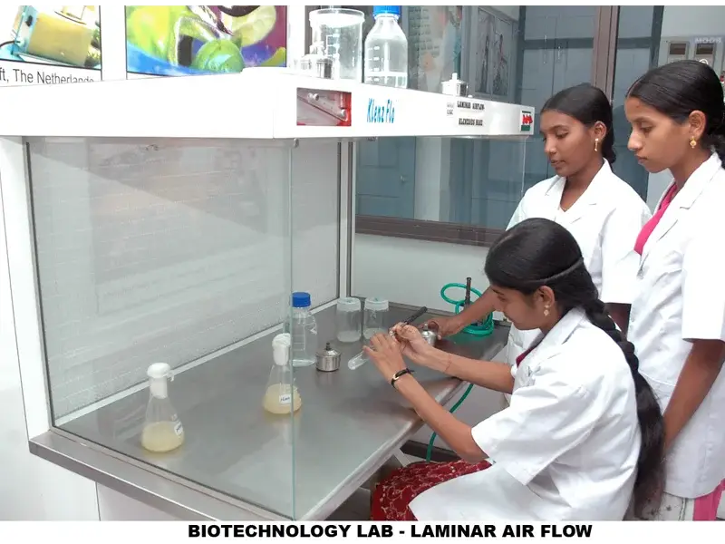 Lal Bahadur College: campus photo 1