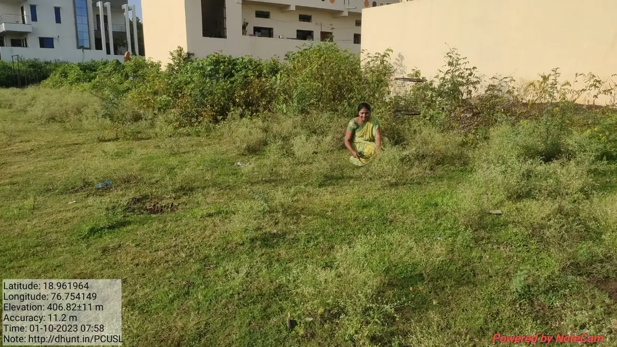 Late Sow. Sheshabai Sitaram Munde Arts College: campus photo 5