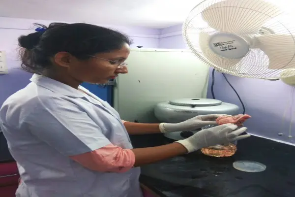 Lokmanya Medical Foundation School of Nursing Education, Chinchwad Pune: campus photo 6
