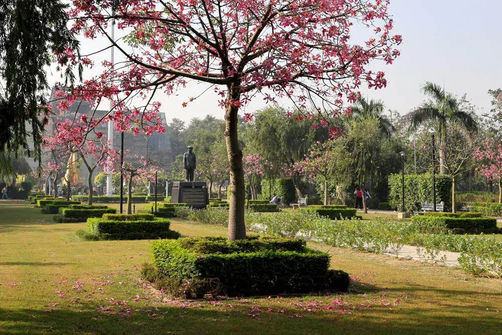 LPU campus photo 5