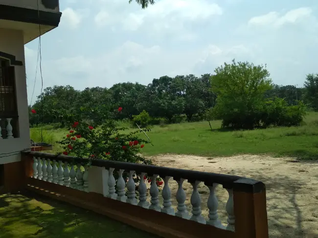 Lucknow Degree College: campus photo 6