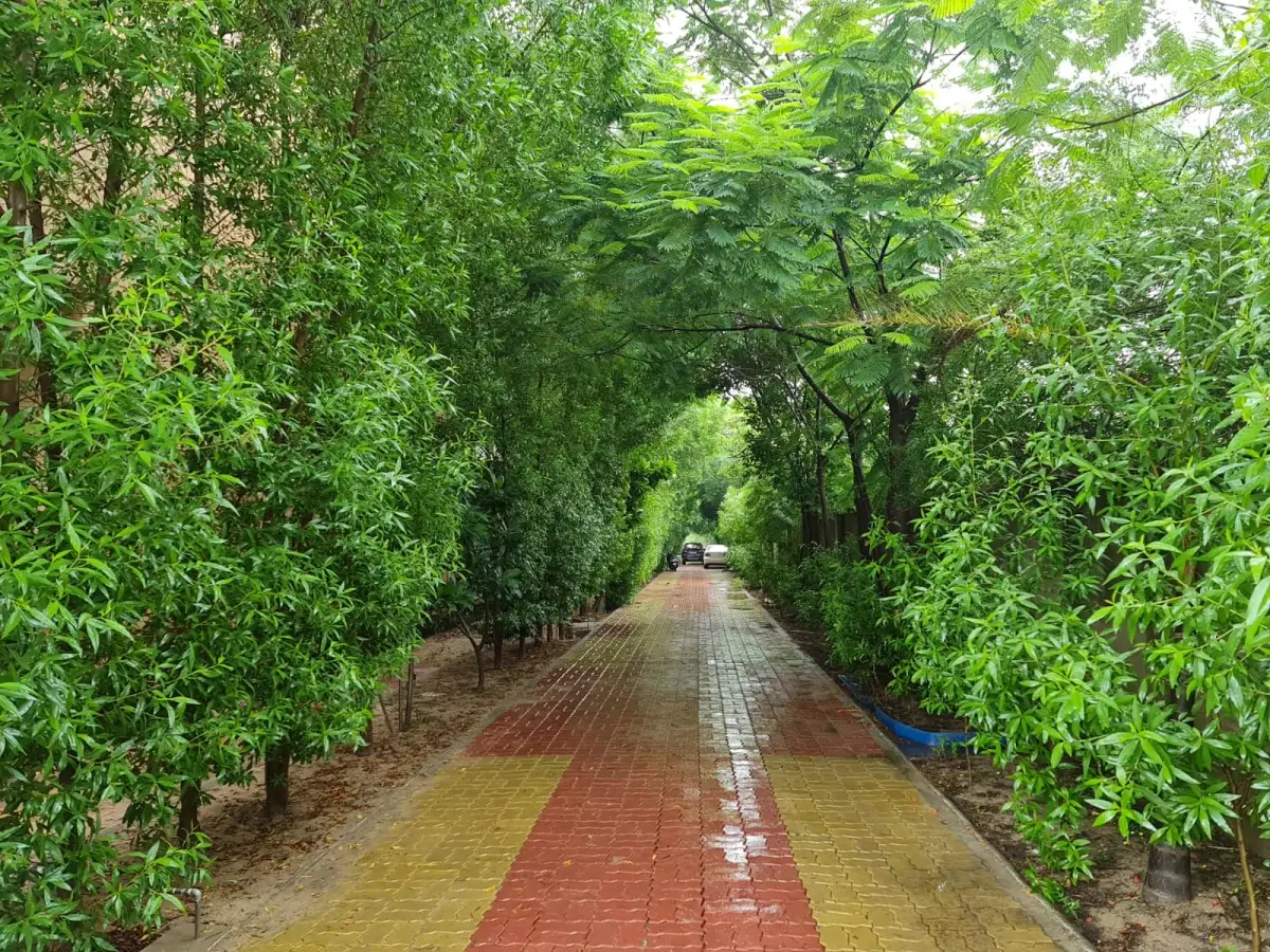 M K University: campus photo 6