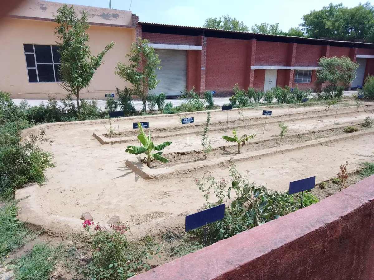 Maa Saraswati College of Pharmacy: campus photo 1