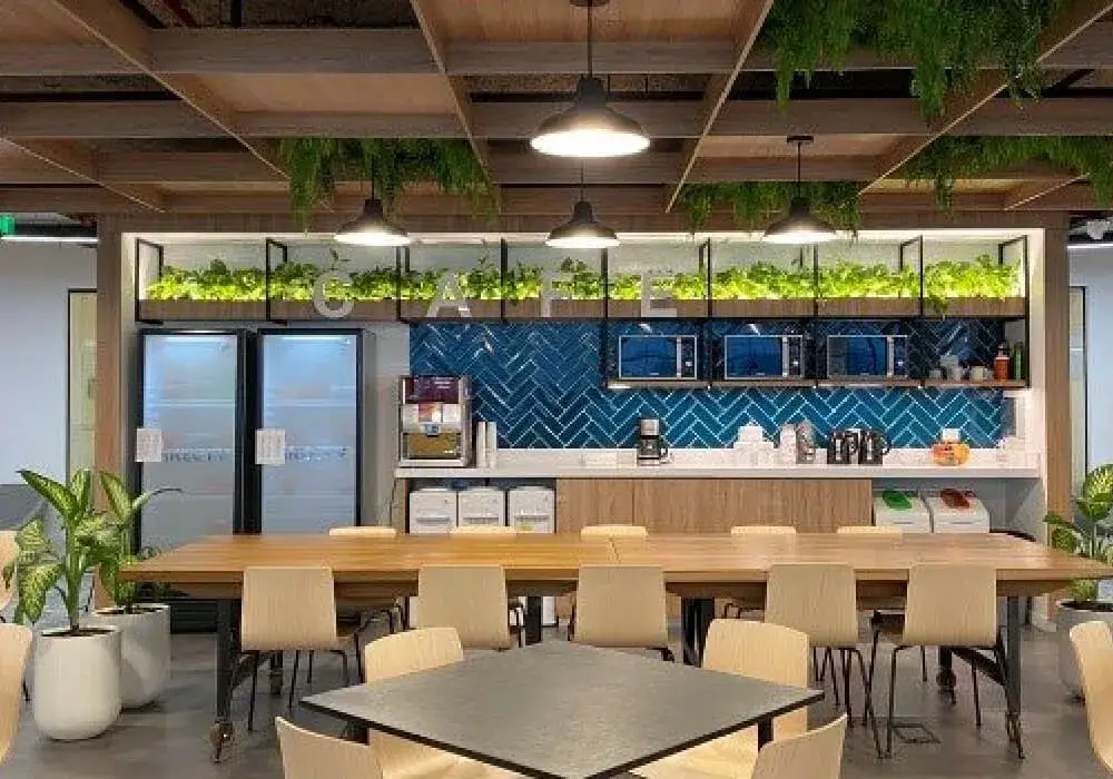 Mahalakshmi College for Girls. Delhi: campus photo 8