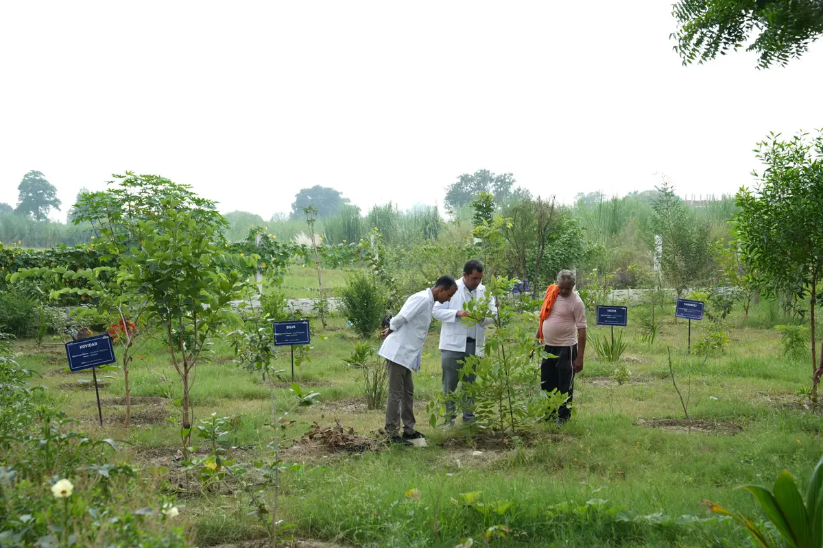Maharana Pratap Ayurvedic Medical College & Hospital: campus photo 6