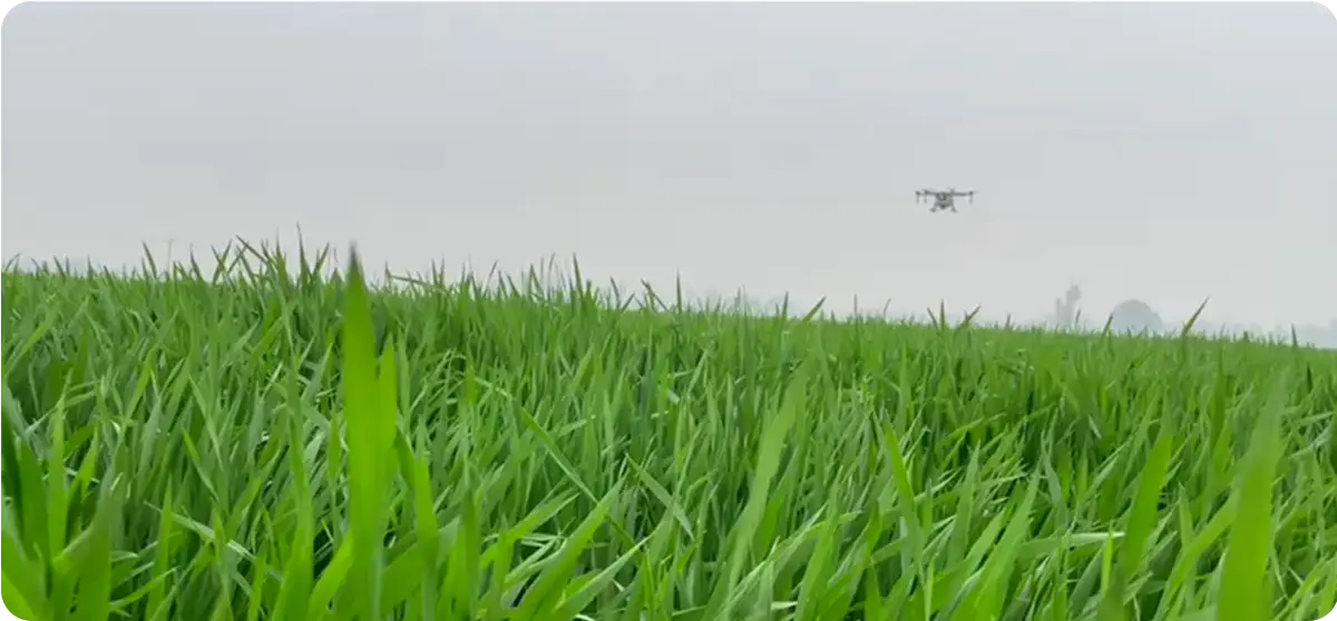 Maharana Pratap Horticultural University: campus photo 1