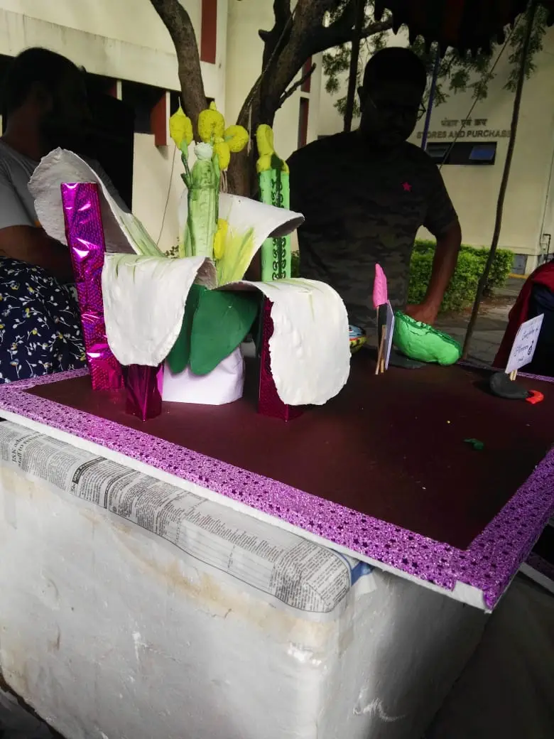 Maitreyi Degree College for Women: campus photo 5