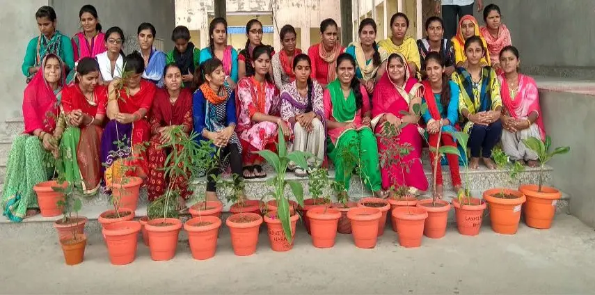 Marudhara Shikshak Prashikshan Mahavidyalaya: campus photo 2