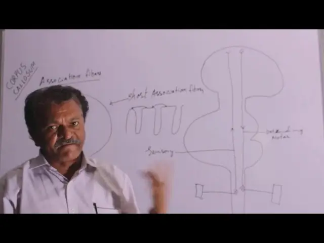 Merchant Homoeopathy Medical College and Hospital: campus photo 1