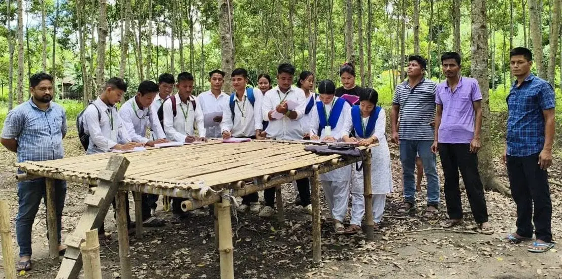 Miry Jiory College: campus photo 8