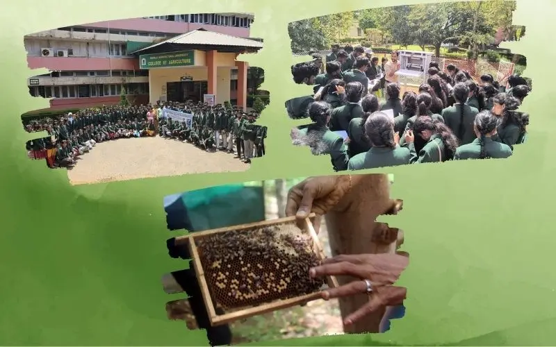 Mother Terasa Collge of Agriculture: campus photo 8