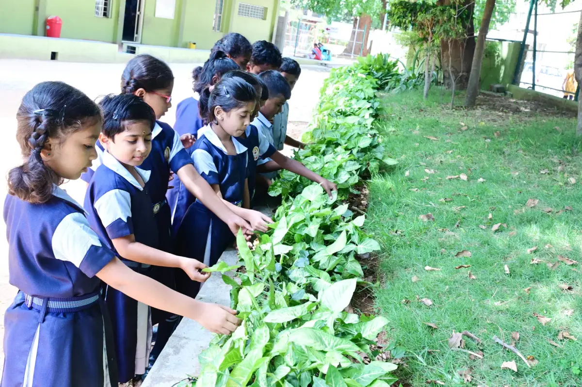 Mysore West Lions Sevaniketan School: campus photo 7