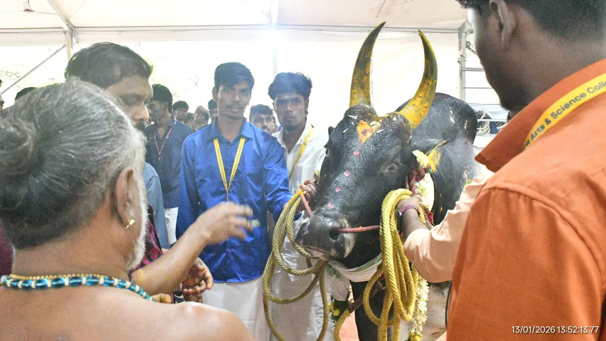 N.P.R. Arts & Science College: campus photo 6