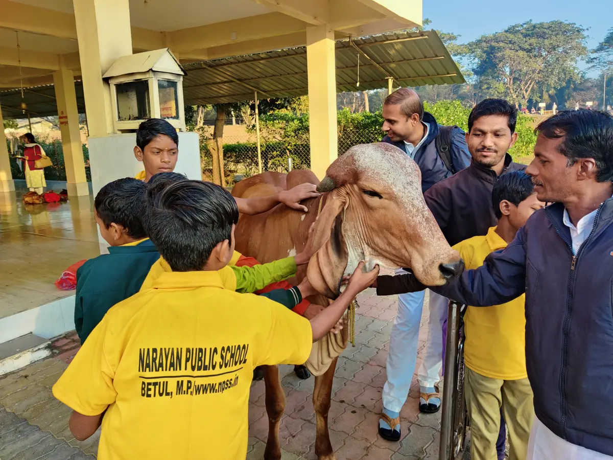 N P Sandhyakalin Snatak Mahavidyalay campus