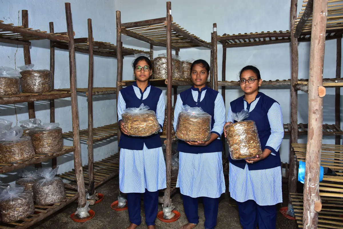 N.S.Agricultural college, Markapur: campus photo 8