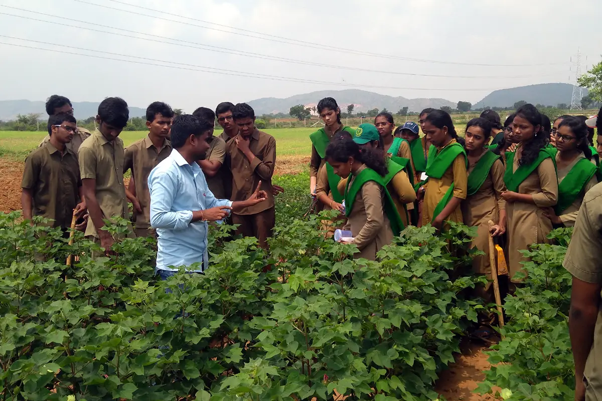N S College of Horticulture Science: campus photo 1