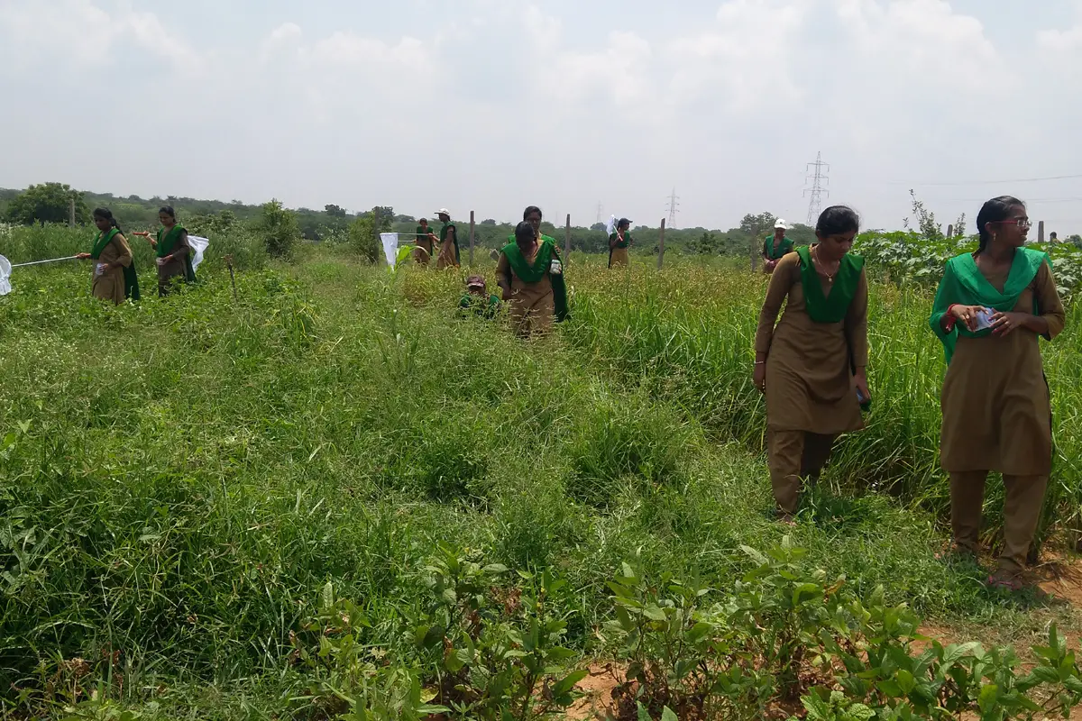 N S College of Horticulture Science: campus photo 2