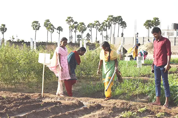 Nalanda College of Agriculture: campus photo 2
