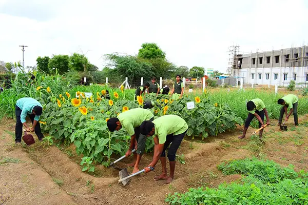 Nalanda College of Agriculture: campus photo 5