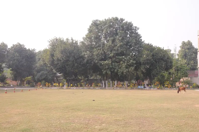 Nalanda Mahila Shikshak Prashikshan Mahavidyalaya: campus photo 1