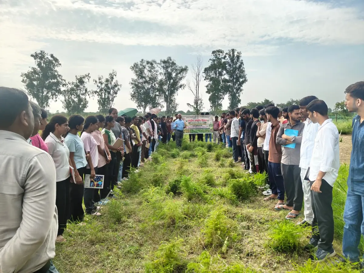 NDUAT campus photo 5