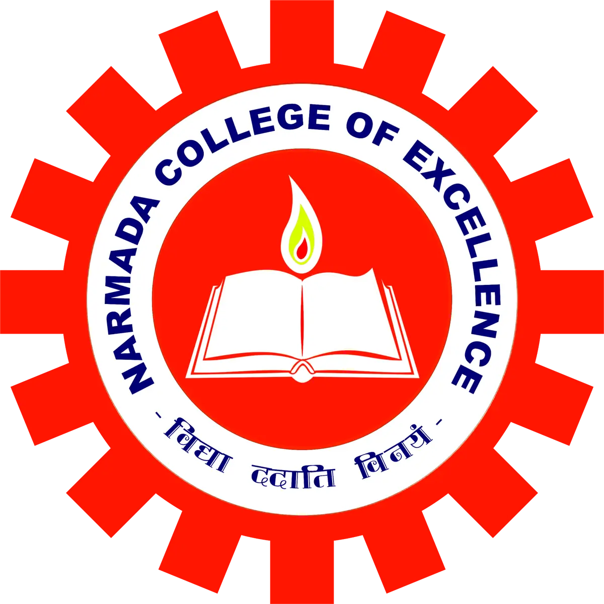 Narmada College of Excellence: campus photo 1