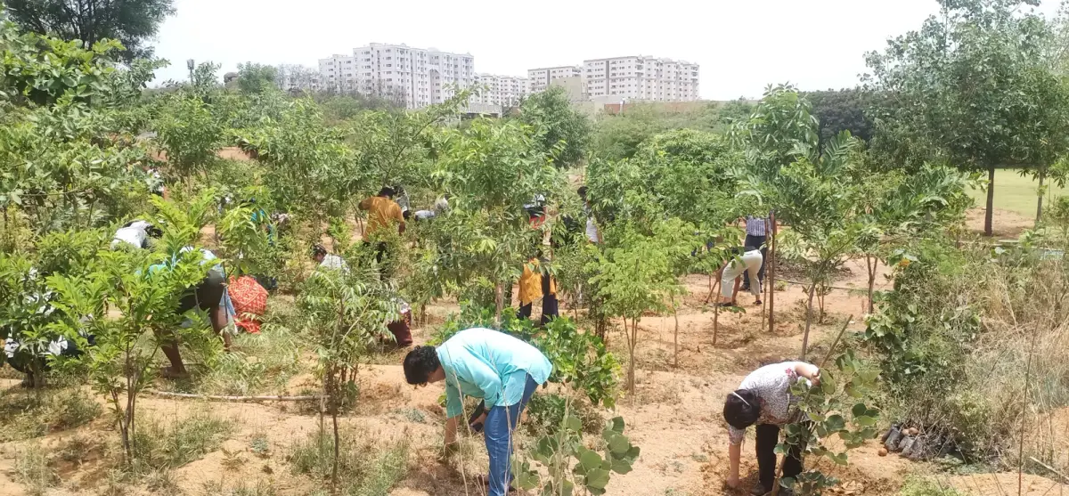 NITHM campus photo 6