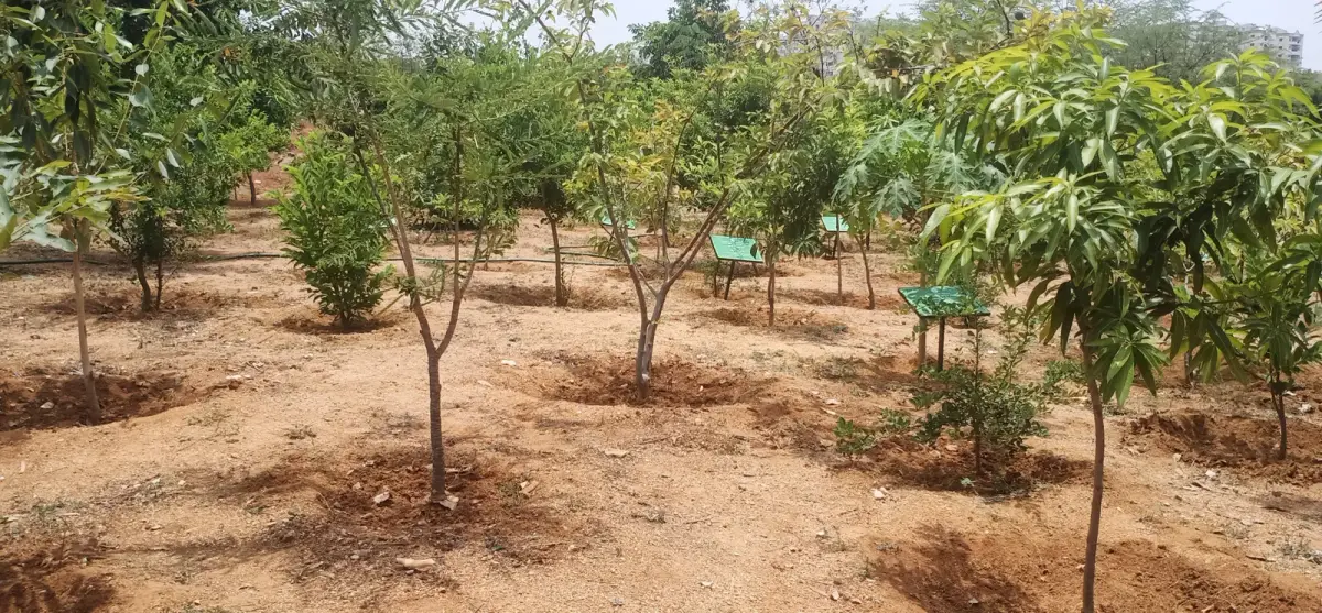 NITHM campus photo 8