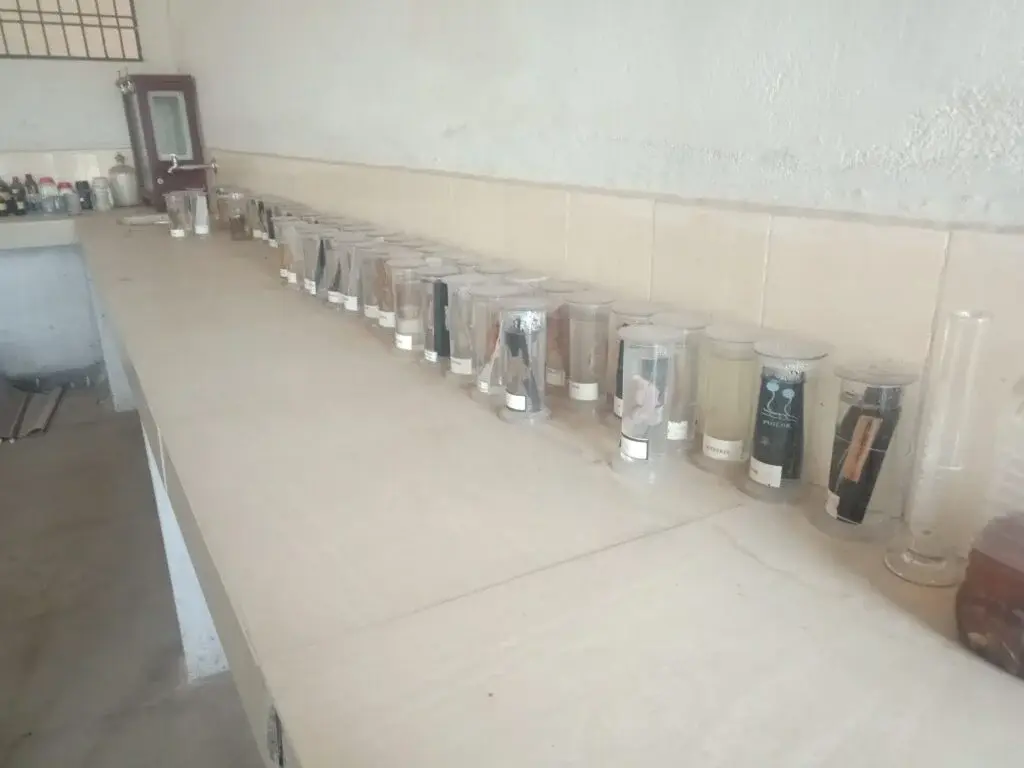 Nayak Nityanand Sai Government College: campus photo 5