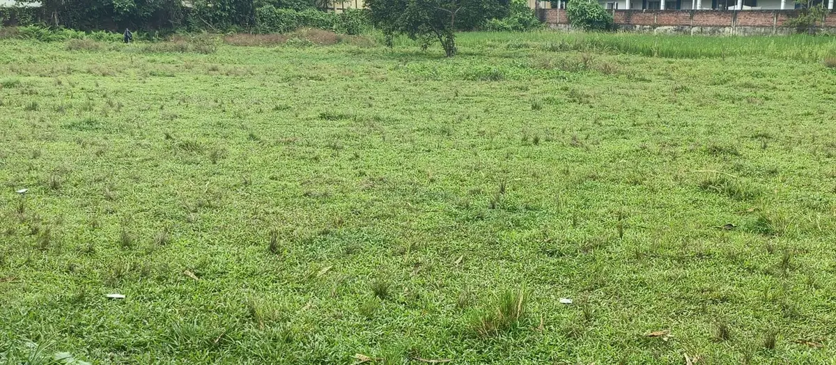 Normal School Jorhat: campus photo 7