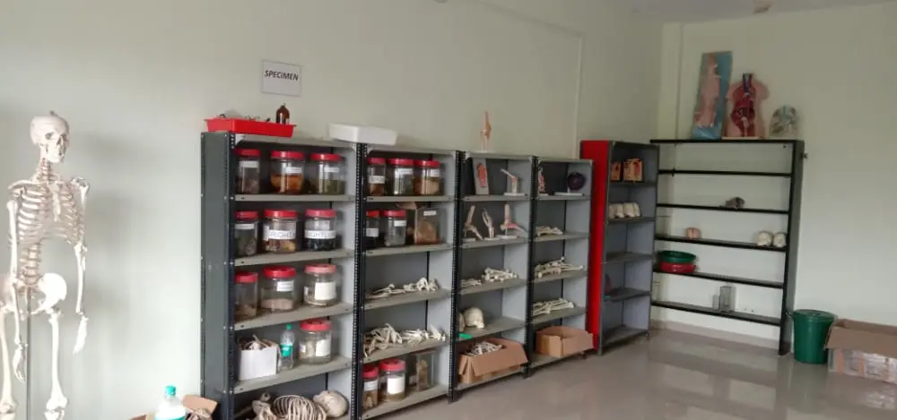 Ojas College of Physiotherapy: campus photo 6