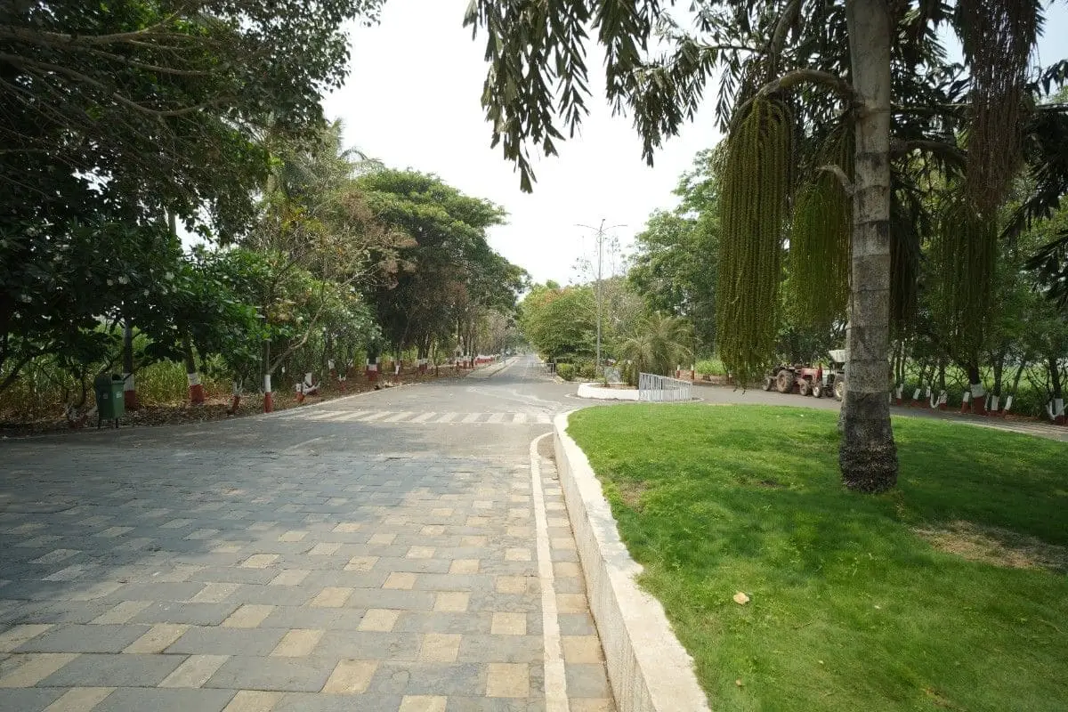 Parikrama Group of Institutions: campus photo 2
