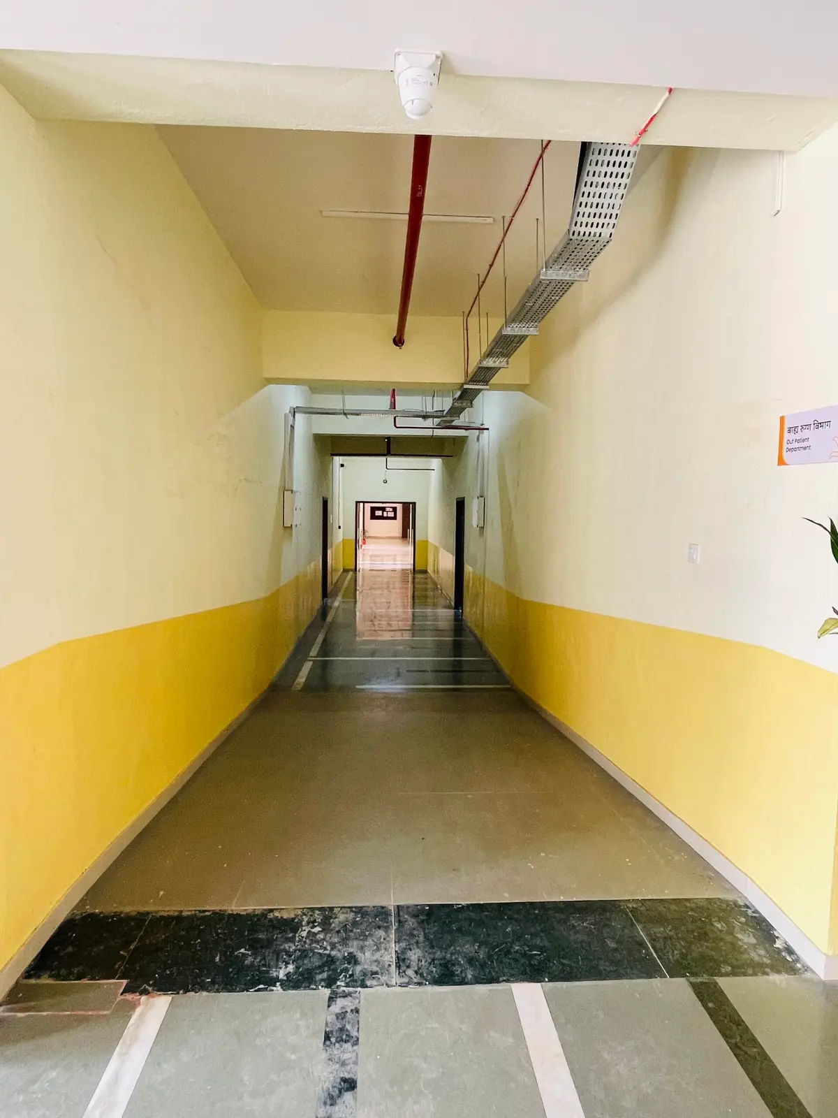 Pirens Dr Vikhe Patil Memorial Ayurvedic College and Research Centre: campus photo 6
