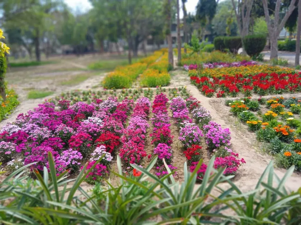 Punjab Institute of Ayurveda Abohar: campus photo 2