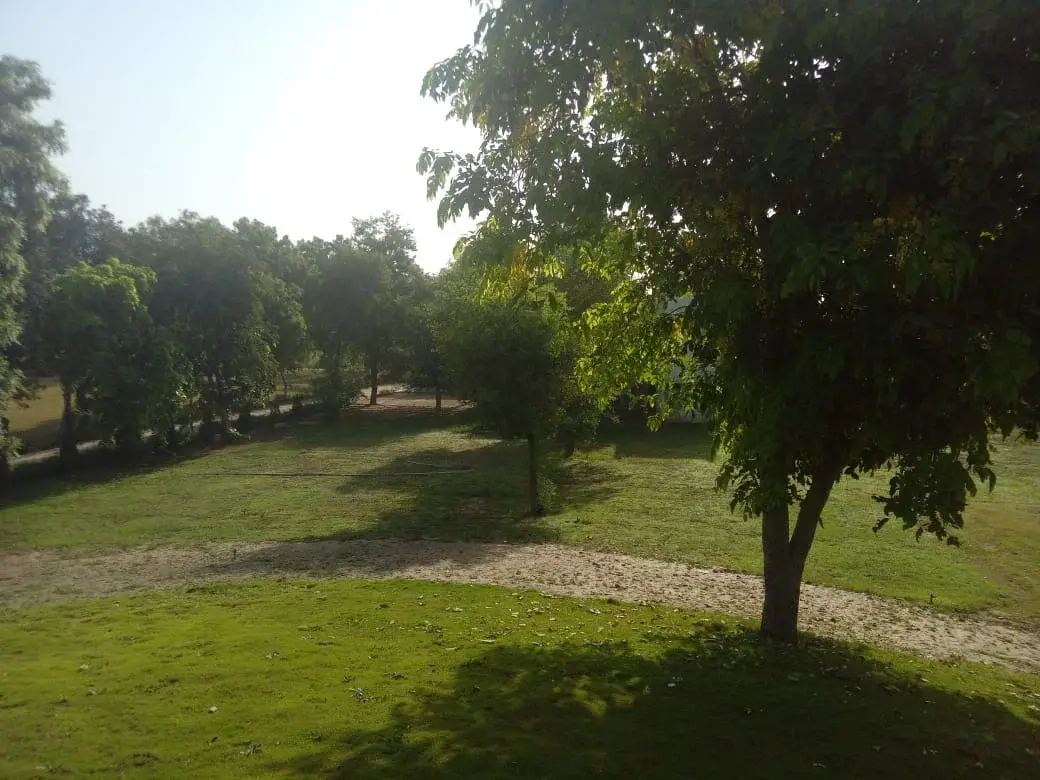 Punjab Institute of Ayurveda Abohar: campus photo 3