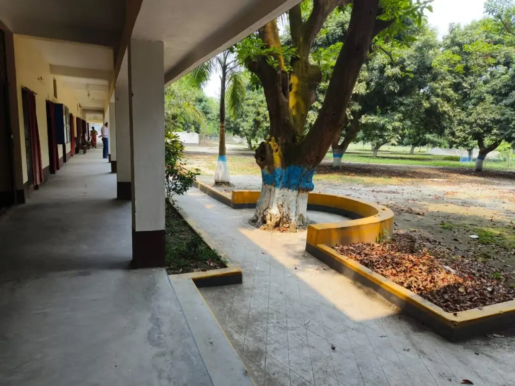Raiganj Educare Teachers Training College: campus photo 7