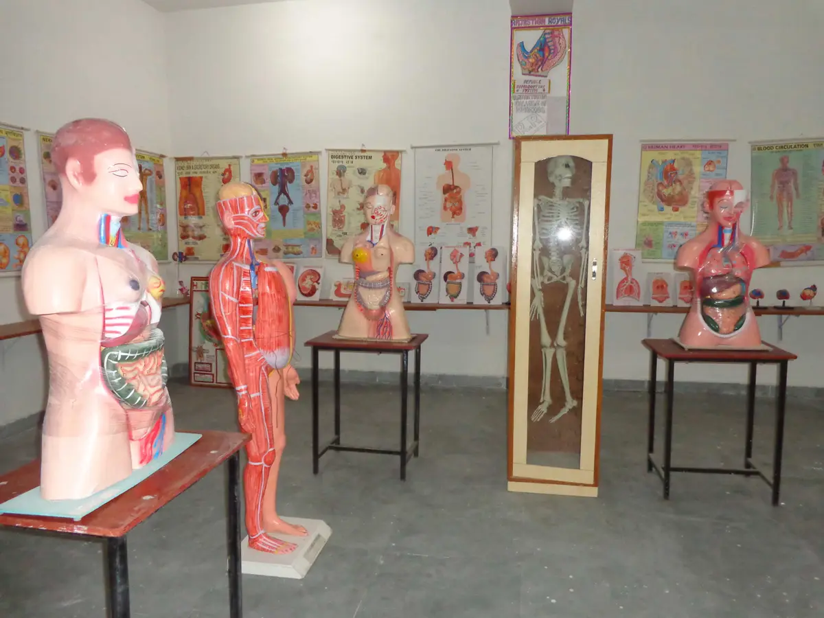 Rajasthan College of Nursing: campus photo 6
