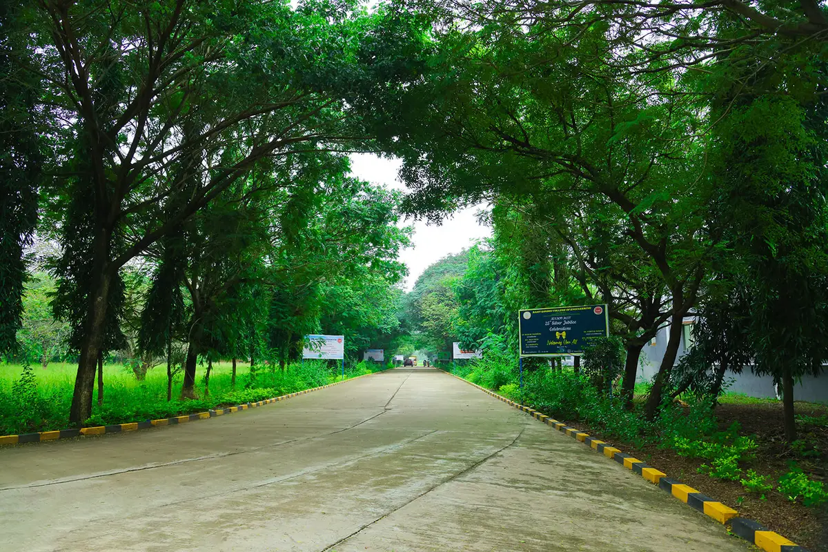 Rajiv Gandhi College of Engineering: campus photo 4