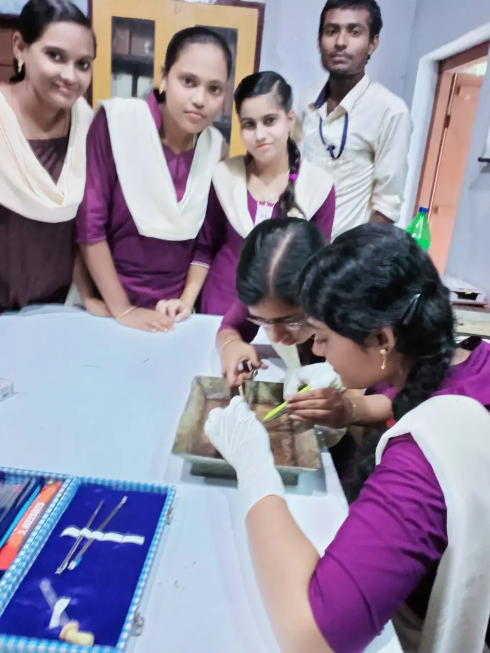 Ramjee Degree Mahavidyalaya, Bhishmagiri: campus photo 4