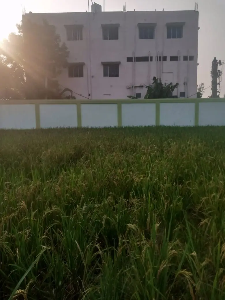 Rani Primary Teachers Training Institute: campus photo 2