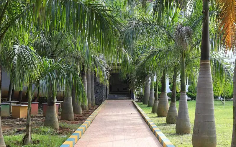 R.R. Institute of Advanced Studies: campus photo 7