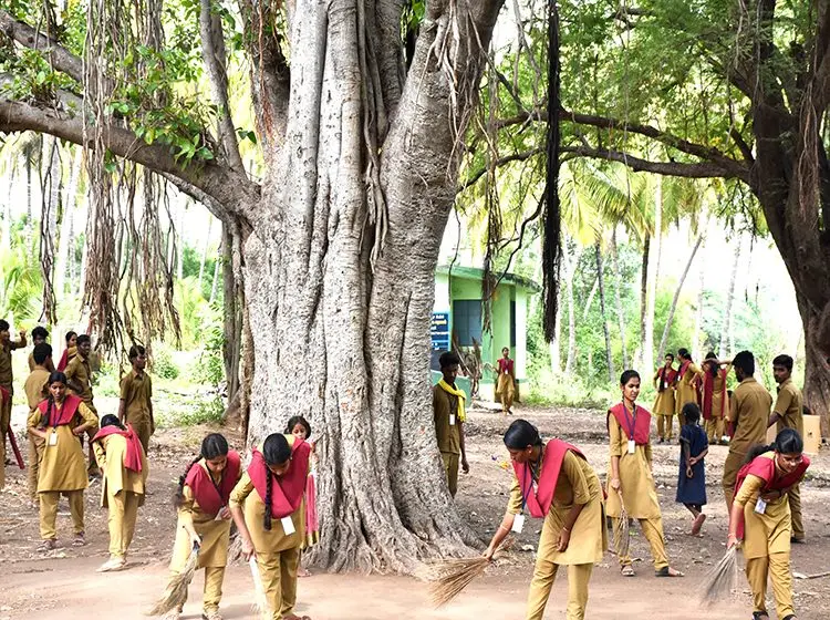 Rvs Padmavathy College of Horticulture: campus photo 7